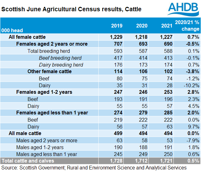 Scotland June 2021 cattle survey results table